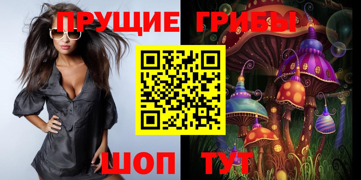 Галлюциногенные грибы Magic Shrooms  Галлюциногенные грибы Psilocybine cubensis  Вход с VPN  Каменск-Уральский 