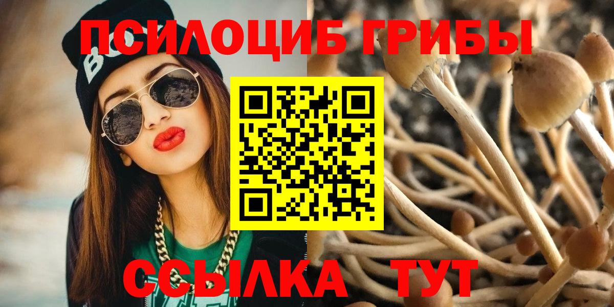 Псилоцибиновые грибы MAGIC MUSHROOMS Каменск-Уральский